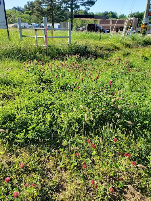 Bobcat Crossing RV Community Picture 3