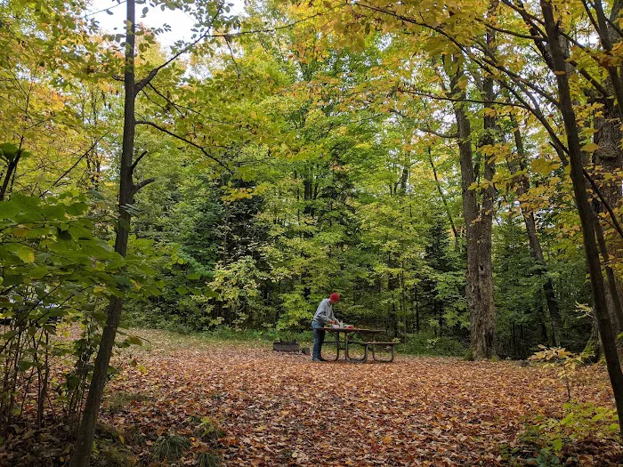 Moose Lake Campground Picture 2