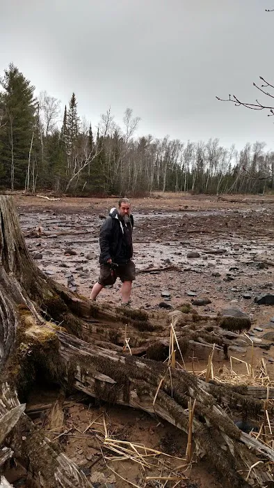 Moose Lake Campground Picture 7