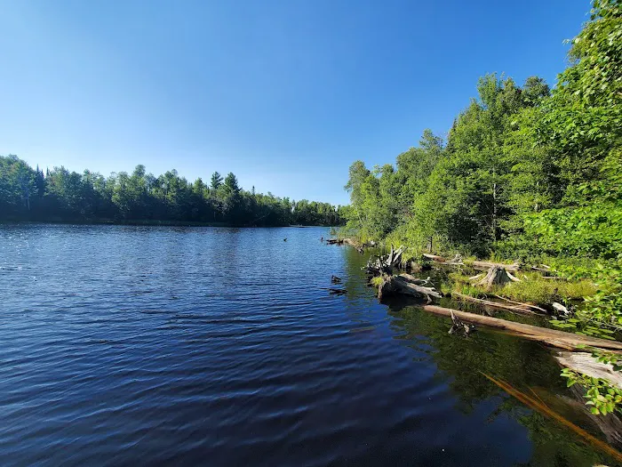Moose Lake Campground Picture 8