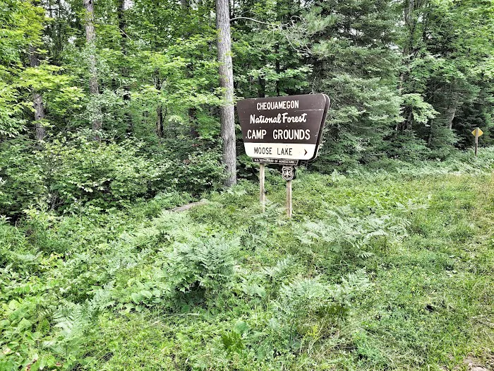 Moose Lake Campground Picture 9