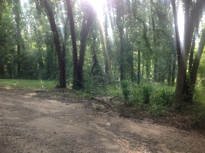 SHADY PINES RV PARK LONGVIEW TX Picture 6