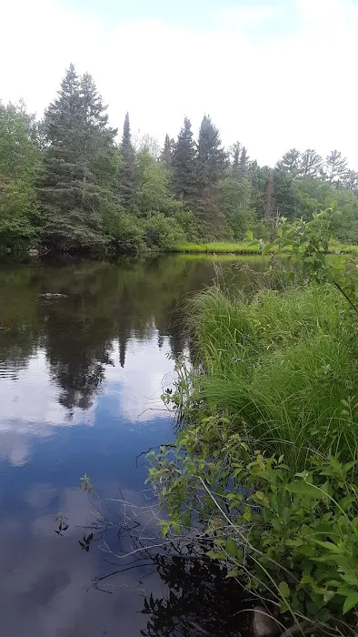 Couderay River Campground Picture 1