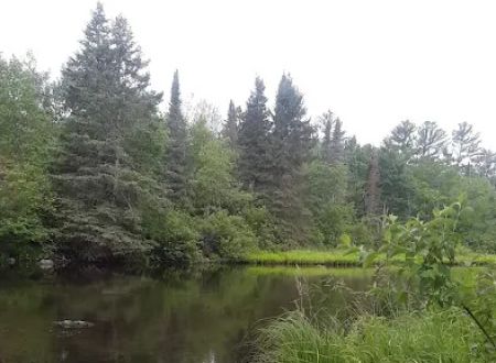 Couderay River Campground