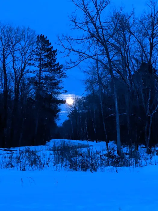 Couderay River Campground Picture 2