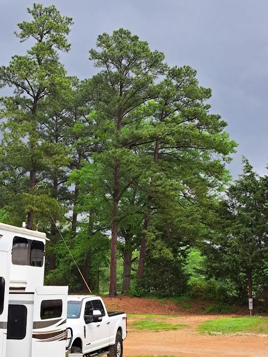 Cowboy Camp RV Park Picture 8