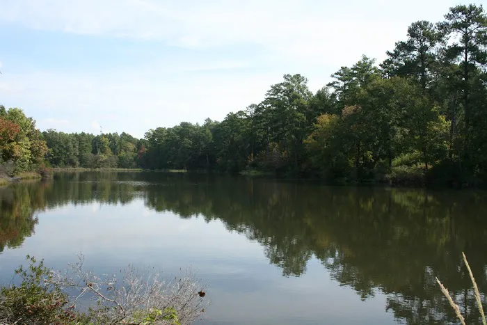 Comfort Lake Village Picture 4