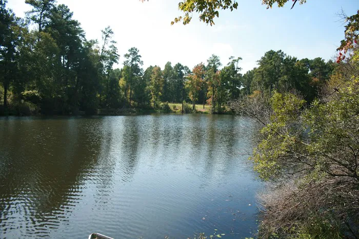 Comfort Lake Village Picture 8