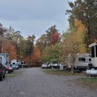 Northwood Shores ico