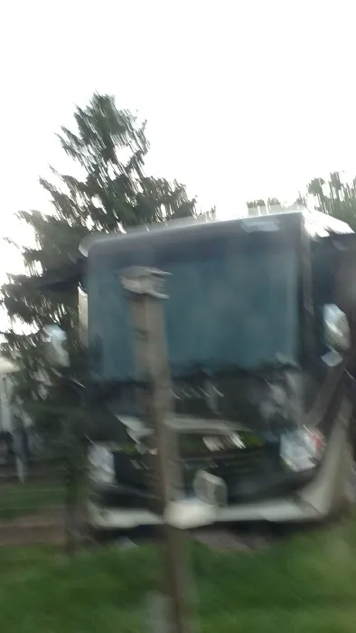 Winjum's Shady Acres Resort Picture 2