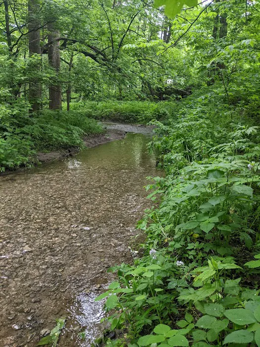 Peaceful Valley Campground Picture 5