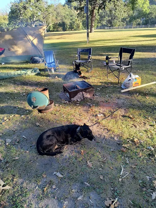 Shady Oaks Campground Picture 1