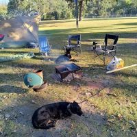 Shady Oaks Campground ico