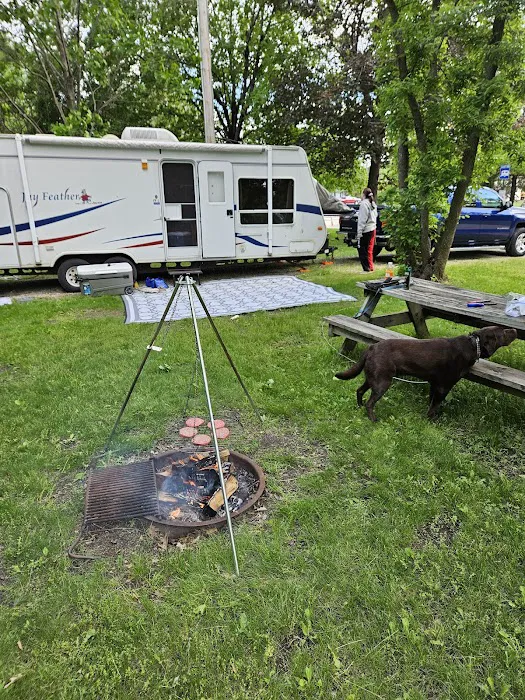 Allanson's Park Camping Picture 9