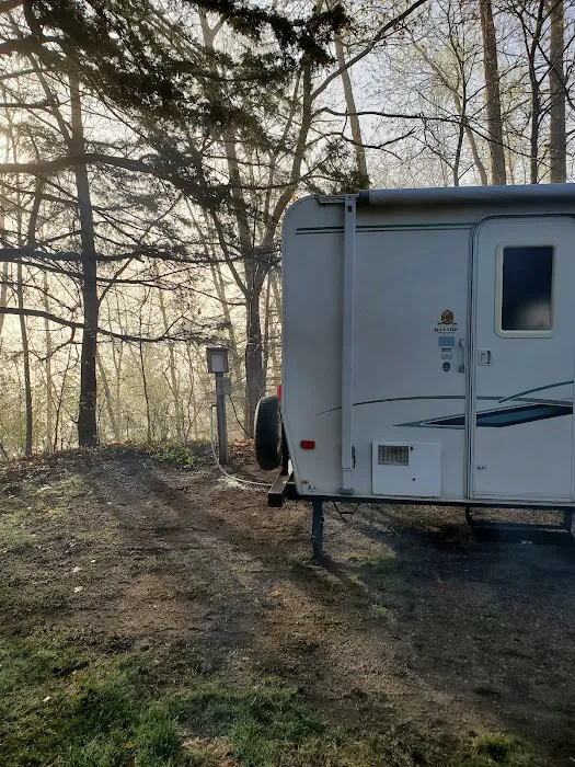 Allanson's Park Camping Picture 3
