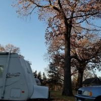 Allanson's Park Camping ico