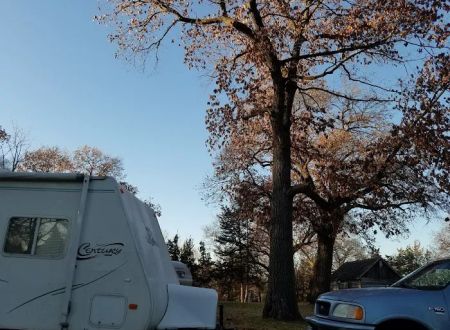 Allanson's Park Camping