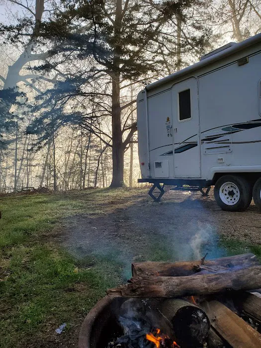 Allanson's Park Camping Picture 6