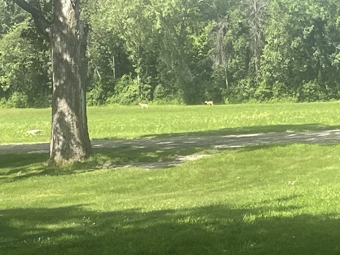 Finstad's Oak Haven Campground Picture 6