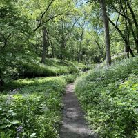 Semi-Modern Campground ico