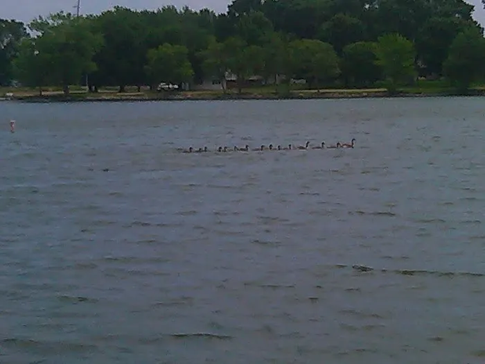 Kearny Park Campground Picture 7