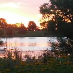 Kearny Park Campground