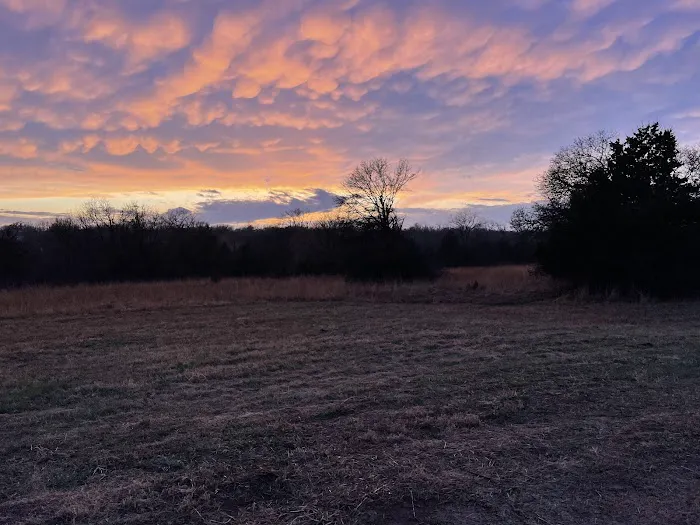 Redbud RV Park Picture 9