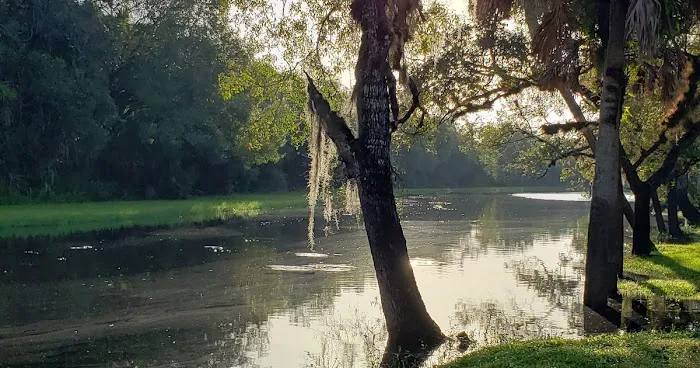 Camp Venice Picture 9