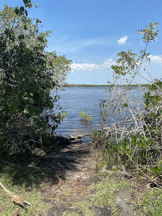 Myakka State Forest - Mangrove Campsite Picture 5