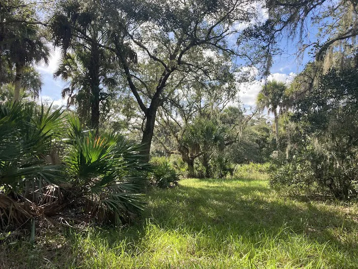 Primitive Campsite Picture 8