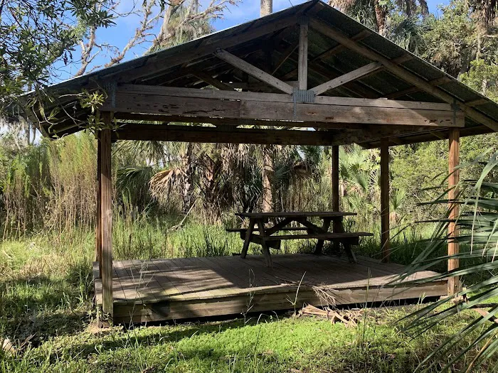 Primitive Campsite Picture 3