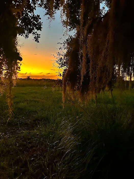 Timberline Glamping at Kissimmee Prairie Preserve State Park Picture 3