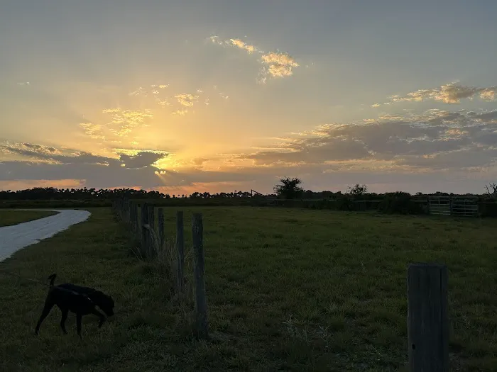 Timberline Glamping at Kissimmee Prairie Preserve State Park Picture 8