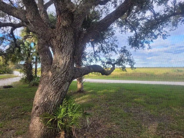 Kissimmee Prairie Preserve Family campground Picture 10