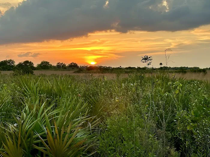 Kissimmee Prairie Preserve Family campground Picture 4