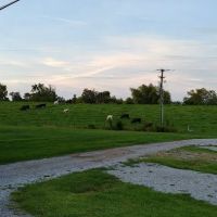 Maxey Care RV Park ico