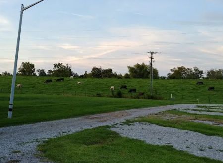 Maxey Care RV Park