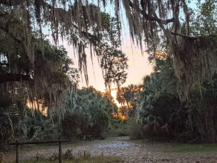 Hickory Hammock Equestrian Campground Picture 4