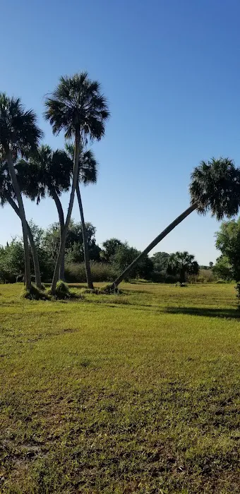 Hickory Hammock Equestrian Campground Picture 5