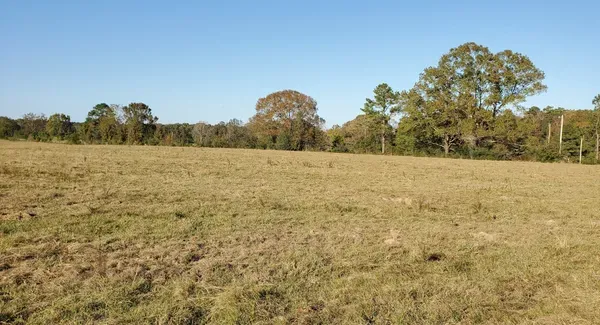 End O' The World RV Park Picture 4