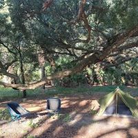 Oak Creek North Campsite ico