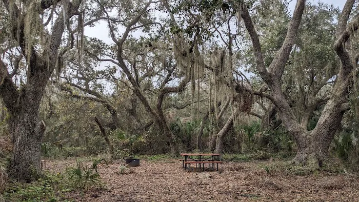 Oak Creek South Campsite Picture 3
