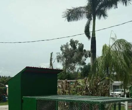 Pelican Perch