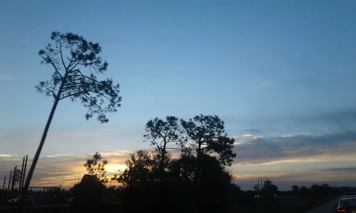 Southern Pines Picture 6