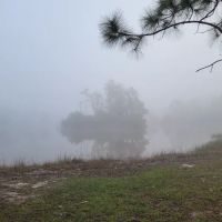 Price-Sanders Scout Reservation ico
