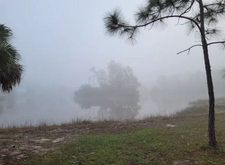 Price-Sanders Scout Reservation