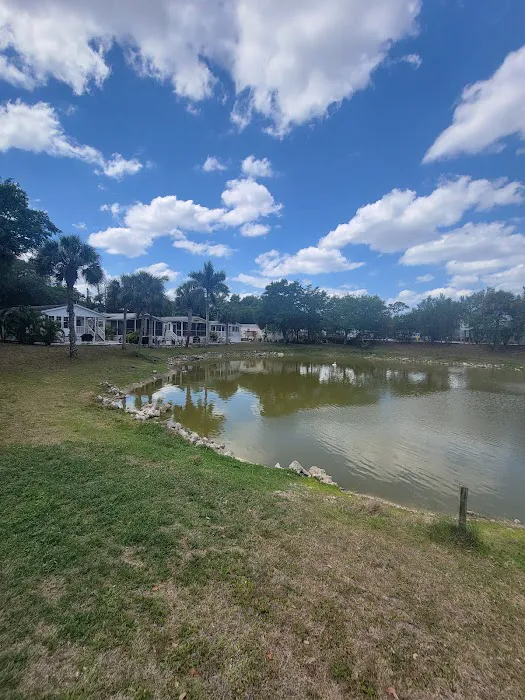 Palm Lake RV Resort Picture 5