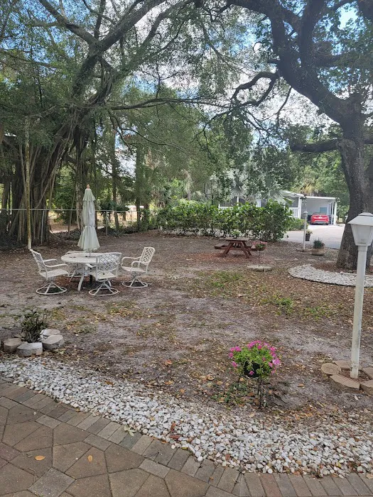 Palm Lake RV Resort Picture 8