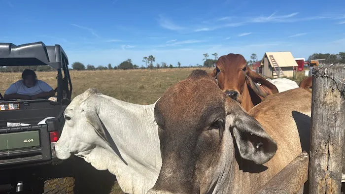 NBU RANCH Picture 1