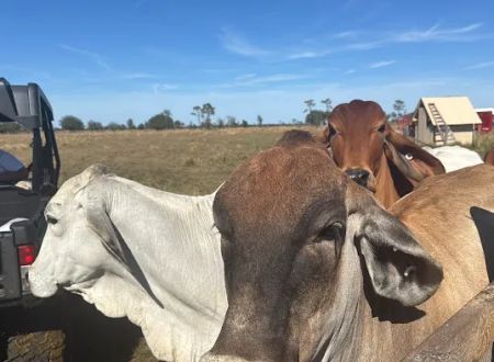 NBU RANCH